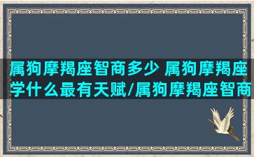 属狗摩羯座智商多少 属狗摩羯座学什么最有天赋/属狗摩羯座智商多少 属狗摩羯座学什么最有天赋-我的网站